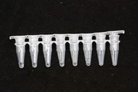 Pásky Qpcr
